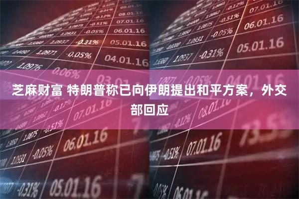 芝麻财富 特朗普称已向伊朗提出和平方案，外交部回应