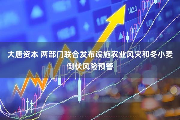 大唐资本 两部门联合发布设施农业风灾和冬小麦倒伏风险预警