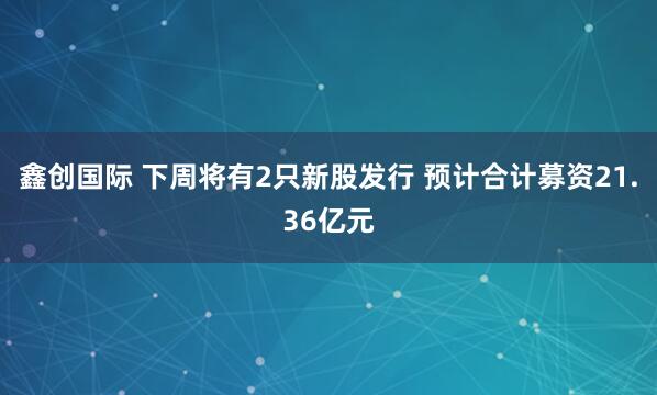 鑫创国际 下周将有2只新股发行 预计合计募资21.36亿元